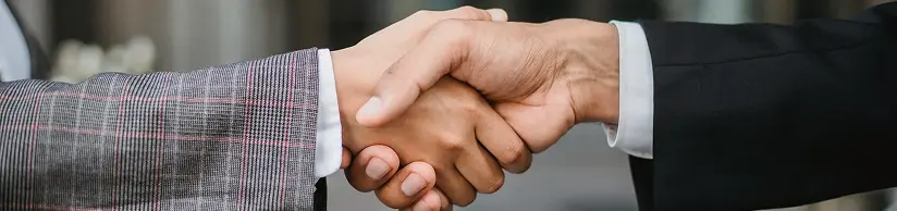 Hand Shaking Image